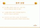 싸이월드 M&A 사례 17페이지