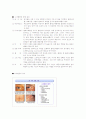 고지혈증 보고서 2페이지