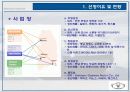 윈스톰 마케팅 전략 4페이지