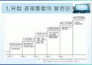 유로화 출범 5년의 평가와 전망 3페이지