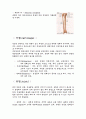 골격계에 관한 정리 8페이지