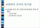 매매춘(성매매)의 문제 대처방안 6페이지