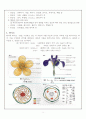 꽃의 구조 & 화식도 3페이지