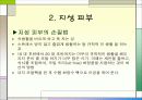 패션과 메이크업 7페이지