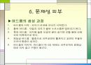 패션과 메이크업 19페이지