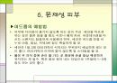패션과 메이크업 20페이지