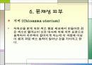 패션과 메이크업 22페이지
