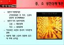 구소련 및 중국의 對북한 정책에 대한 지정학적 해석 3페이지