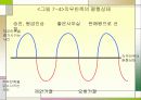 조직행동에서의 태도와 행위 20페이지