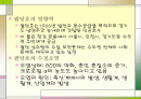 팔당댐 수질관리에 관한 지방자치의 충돌 사례연구 2페이지