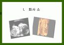 기업의 핵심 역량 - 메디슨 사례 4페이지