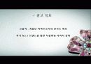 고품격 아파트 브랜드 시장에서의 생존과 승리의 광고 전략-자이(Xi) 10페이지