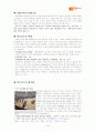 스페인여행 계획서 21페이지