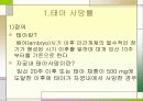 태아 사망률과 저체중아 사망률 4페이지