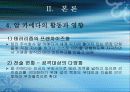 국제 테러 조직과 그 대응방안 모색 (알 카에다를 중심으로) 8페이지