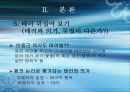 국제 테러 조직과 그 대응방안 모색 (알 카에다를 중심으로) 10페이지