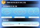 한국적 자치경찰제도의 성공적인 정착을 위한 고찰 6페이지