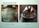 한국의 종 14페이지