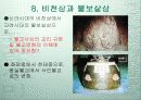 한국의 종 21페이지