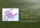 북한외교의 특징 10페이지