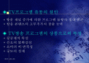 방송 프로그램의 국제적 유통 2페이지