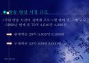 방송 프로그램의 국제적 유통 3페이지