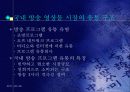 방송 프로그램의 국제적 유통 4페이지
