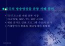 방송 프로그램의 국제적 유통 5페이지