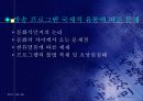 방송 프로그램의 국제적 유통 10페이지