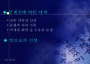 방송 프로그램의 국제적 유통 11페이지