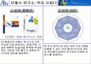 안철수 연구소의 마케팅 전략안 5페이지