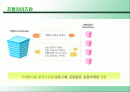 광주 전남의 프랜차이즈 현황 조사 2페이지