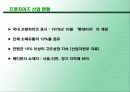 광주 전남의 프랜차이즈 현황 조사 4페이지