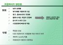 광주 전남의 프랜차이즈 현황 조사 5페이지