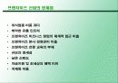 광주 전남의 프랜차이즈 현황 조사 6페이지