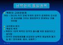 북한과 남한의 통일방안 4페이지