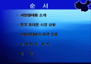 세원텔레콤의 중국진출 실패 사례 2페이지