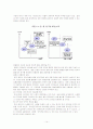 해외 마케팅 15페이지