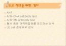 전신성홍반성낭창 파워포인트 10페이지