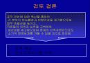 적십자간호대학 행정조직에 대한 분석 13페이지