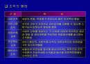 적십자간호대학 행정조직에 대한 분석 32페이지