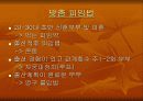 결혼과 가정 피임 14페이지