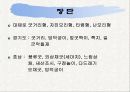 농악에 대한 이해 10페이지