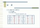 이랜드(E-Land)의 재도약 15페이지