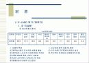 이랜드(E-Land)의 재도약 16페이지