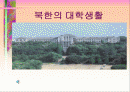 북한의 대학생활 1페이지