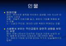모성애-박완서 ‘엄마의 말뚝1’ 4페이지