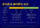 사형제도 12페이지
