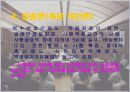사형제도 13페이지