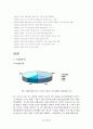 아이리버의 마케팅 성공전략분석 5페이지